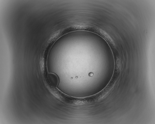 X0000116610494200912111137