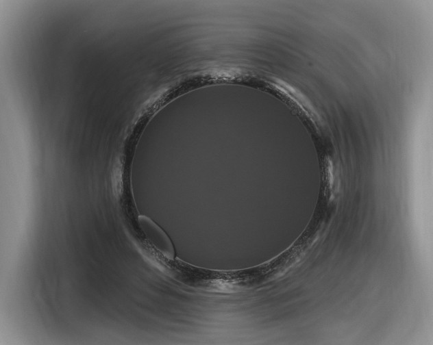 X0000116610496200912111137