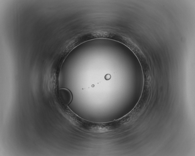 X0000116610498200912111137