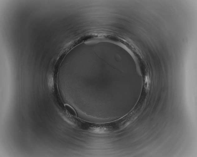 X0000116610500200912111137