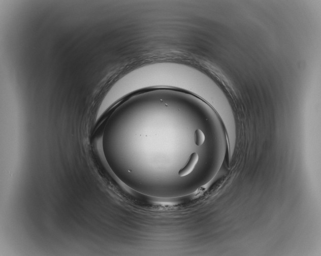 X0000116610501200912111137