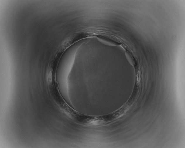 X0000116610504200912111137