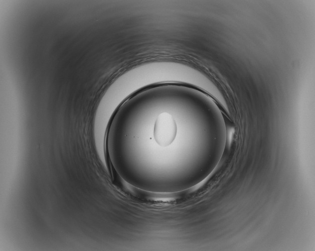 X0000116610505200912111137