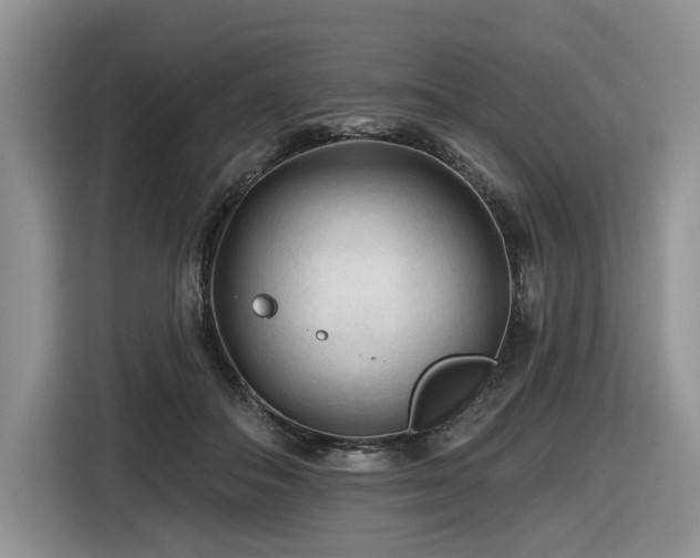 X0000116610506200912111137