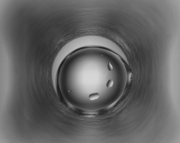 X0000116610509200912111137