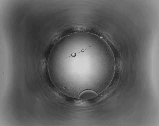X0000116610511200912111137