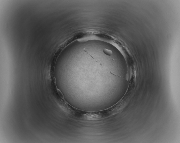 X0000116610512200912111137