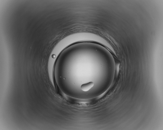 X0000116610513200912111137