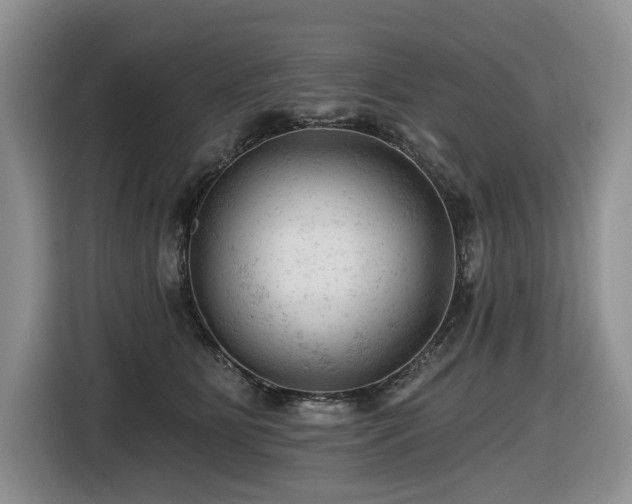 X0000116610515200912111137