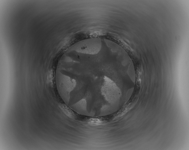 X0000116610519200912111136