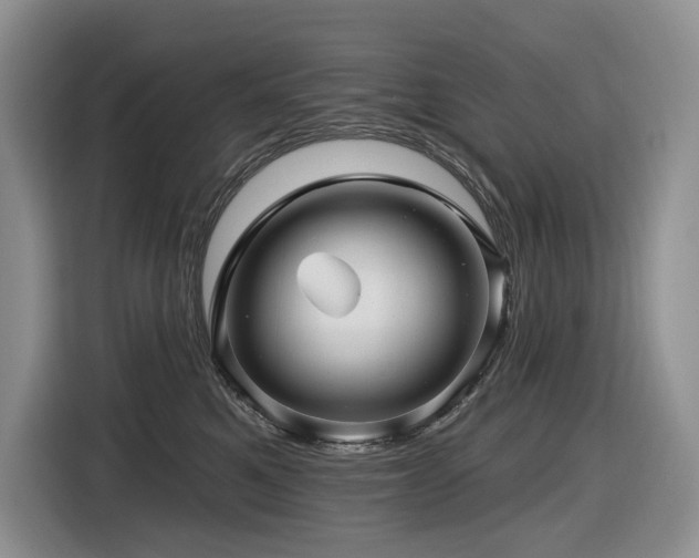 X0000116610521200912111136