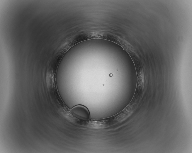 X0000116610522200912111136