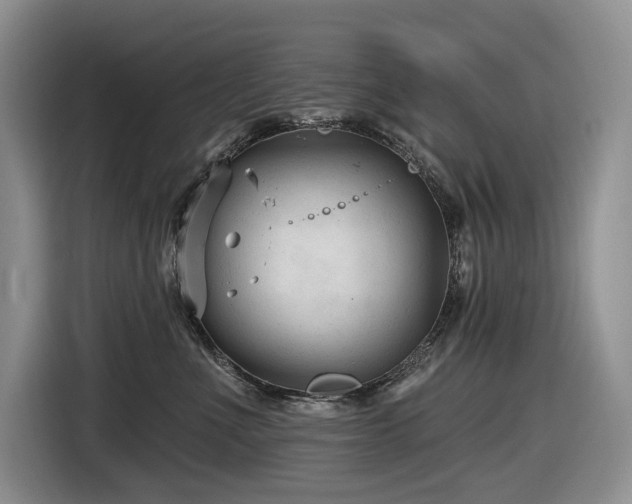 X0000116610523200912111136