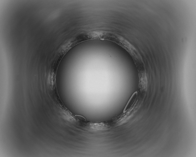 X0000116610525200912111136