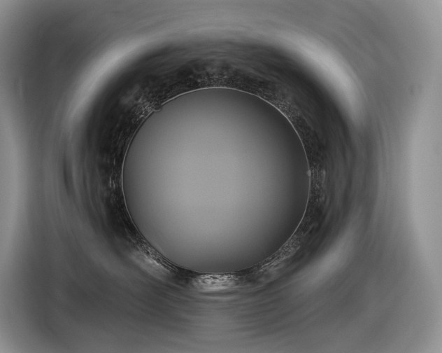 X0000116610526200912111136