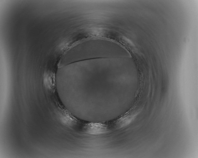 X0000116610528200912111136