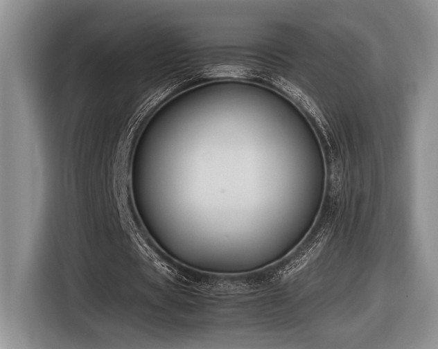 X0000116610529200912111136