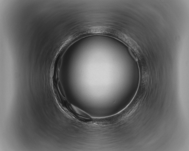 X0000116610530200912111136