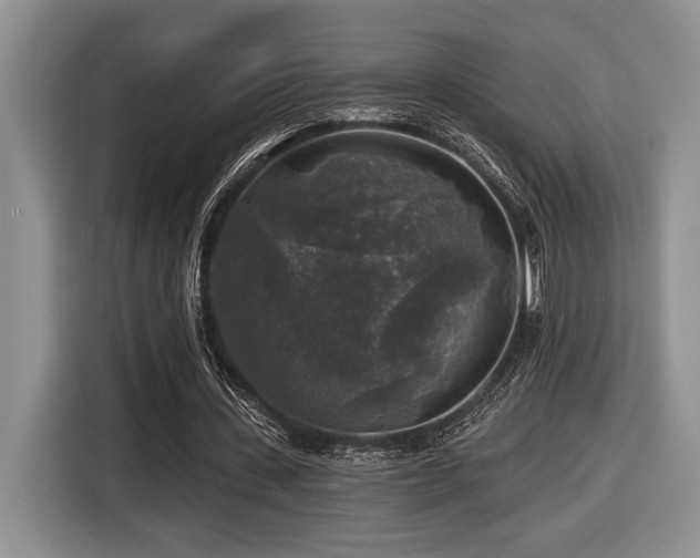 X0000116610531200912111136