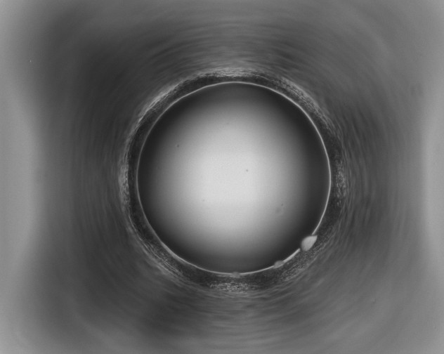 X0000116610535200912111136
