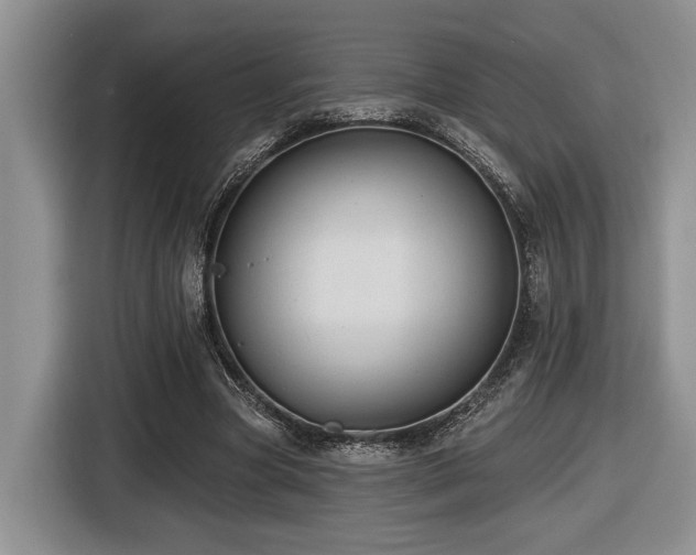 X0000116610537200912111136