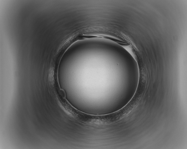 X0000116610538200912111136