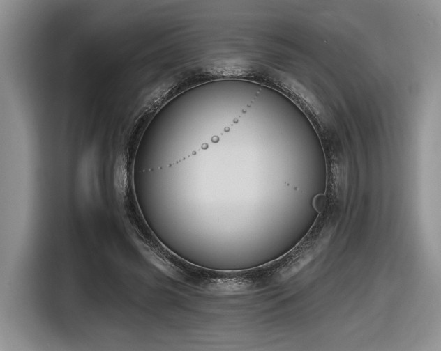X0000116610541200912111136