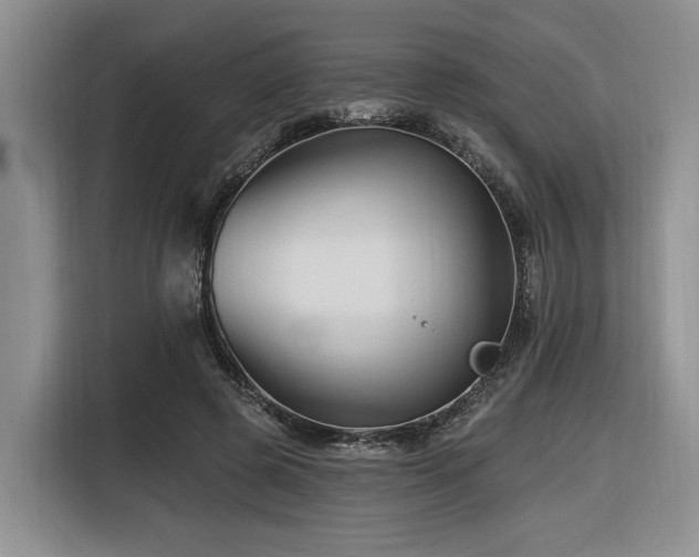 X0000116610545200912111136