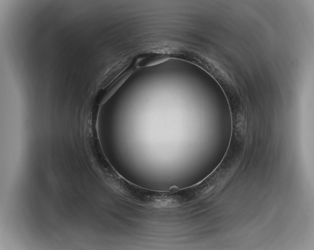 X0000116610547200912111136