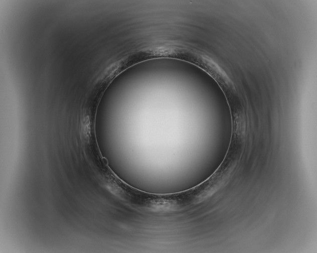 X0000116610549200912111136