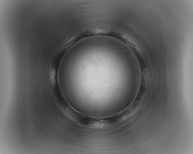 X0000116610550200912111136