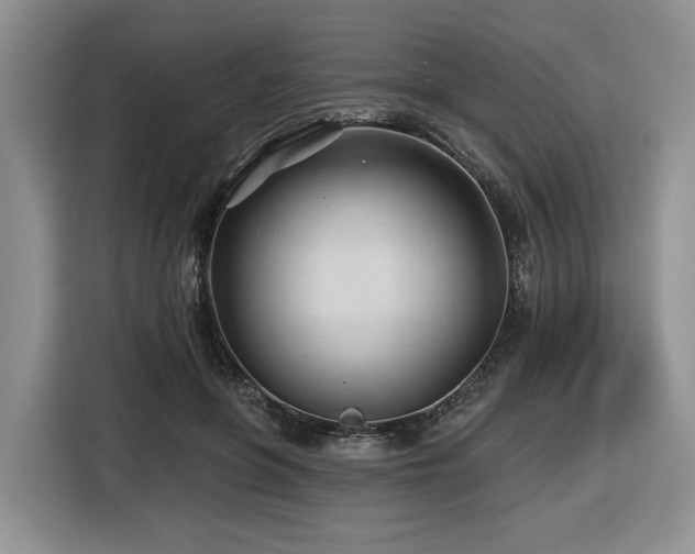 X0000116610551200912111136