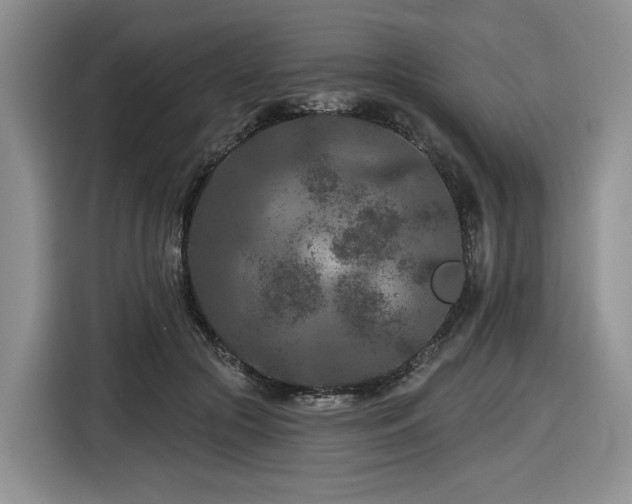 X0000116610553200912111136