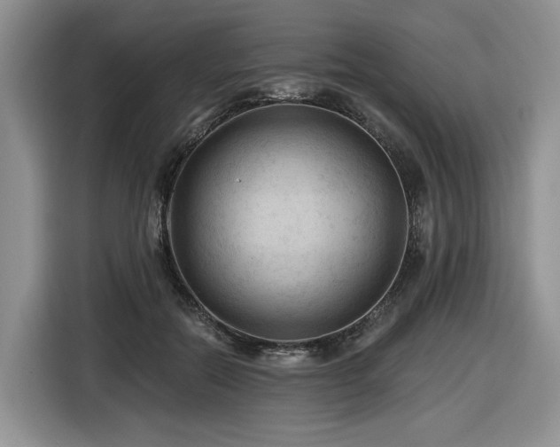 X0000116610554200912111136