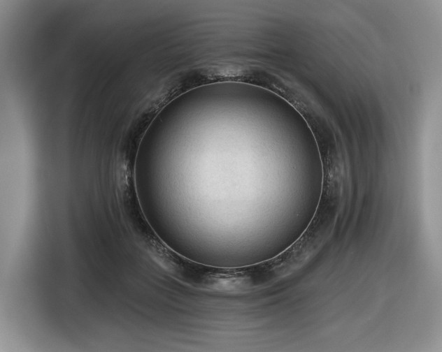 X0000116610555200912111136