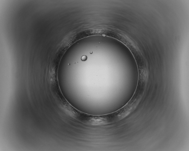 X0000116610557200912111136