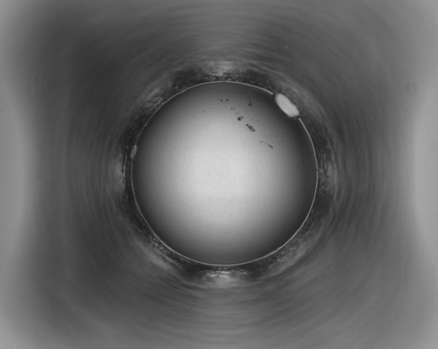 X0000116610558200912111136