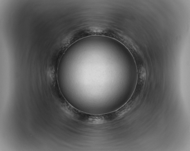 X0000116610559200912111136
