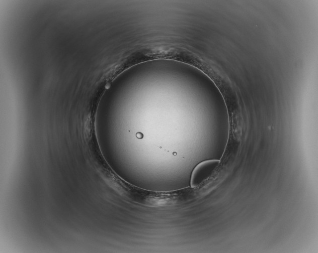 X0000116610563200912111136