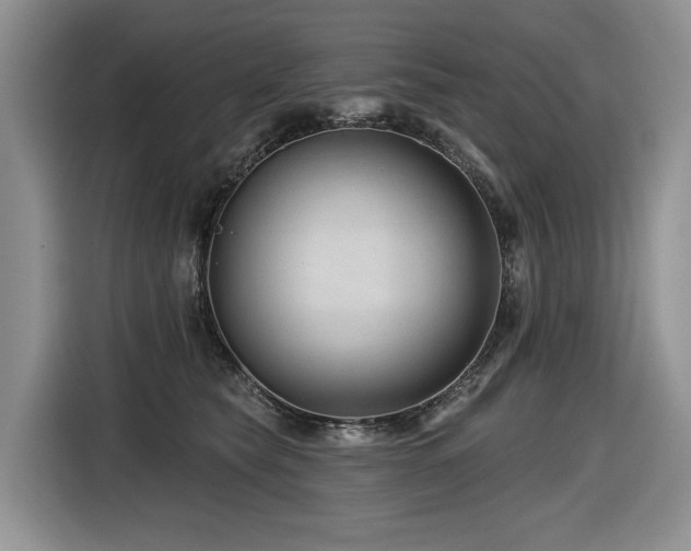 X0000116610565200912111136
