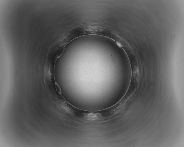 X0000116610566200912111136