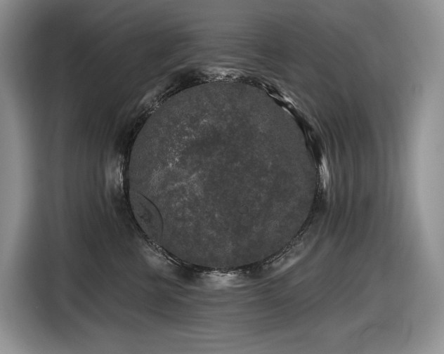 X0000116610570200912111136