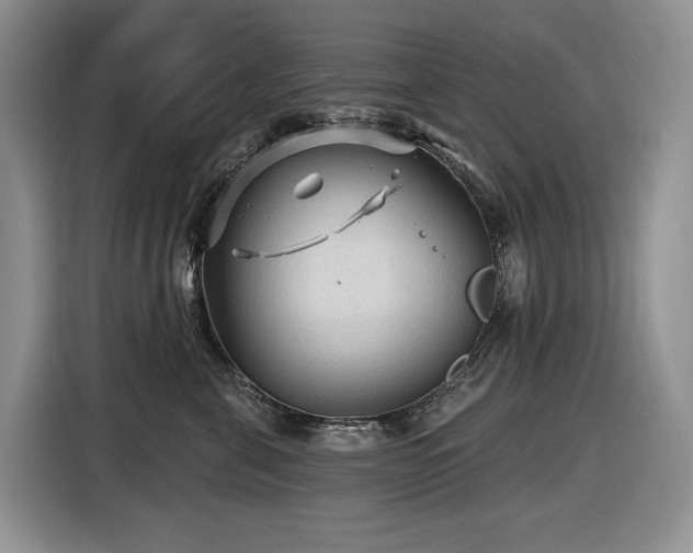 X0000116610571200912111136