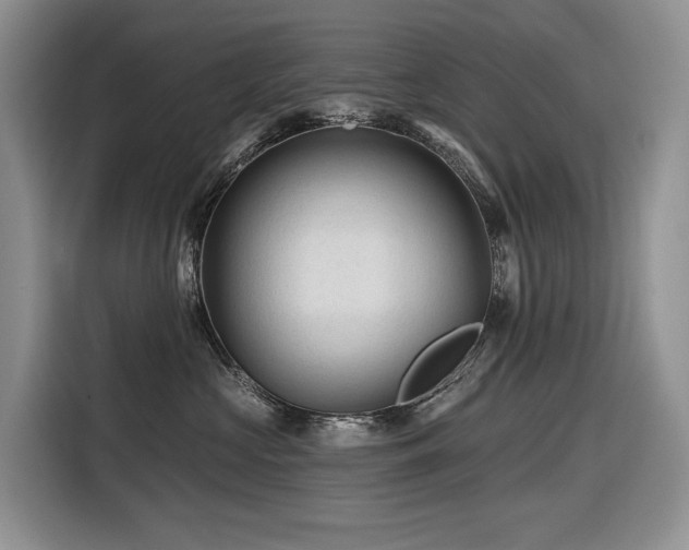 X0000116610573200912111136