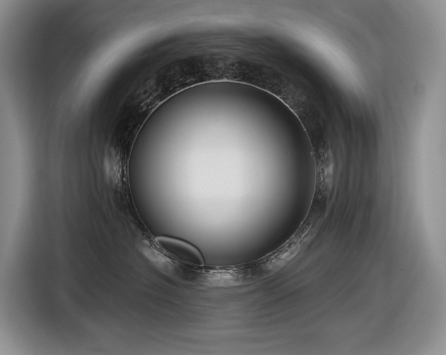 X0000116610574200912111136