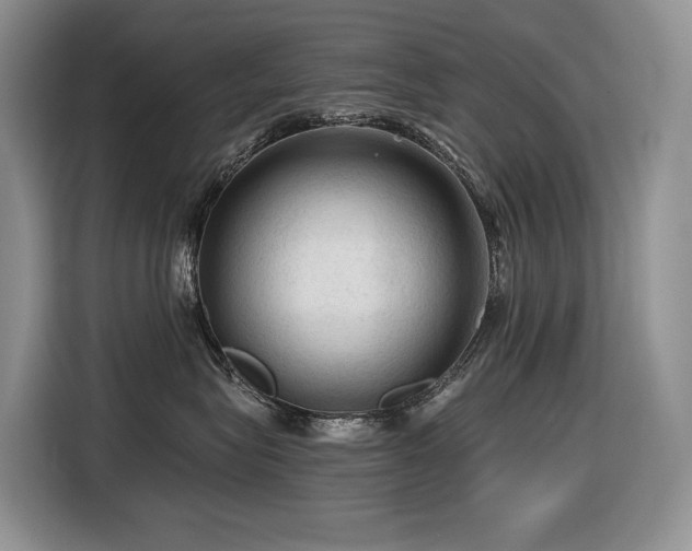 X0000116610575200912111136
