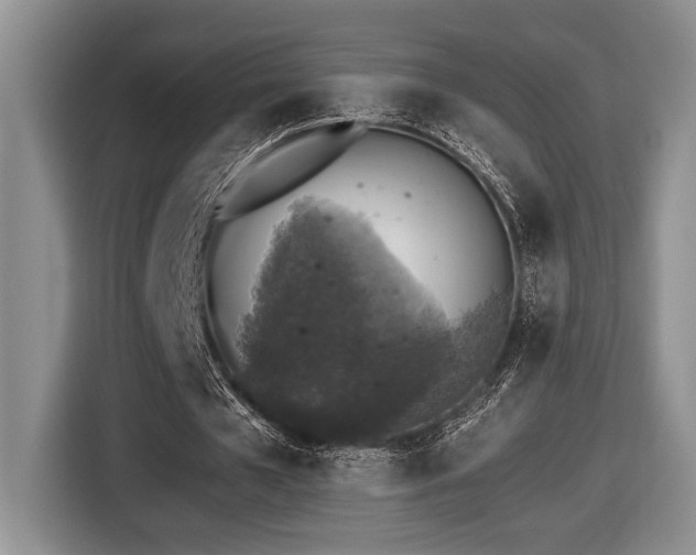 X0000116610577200912111136