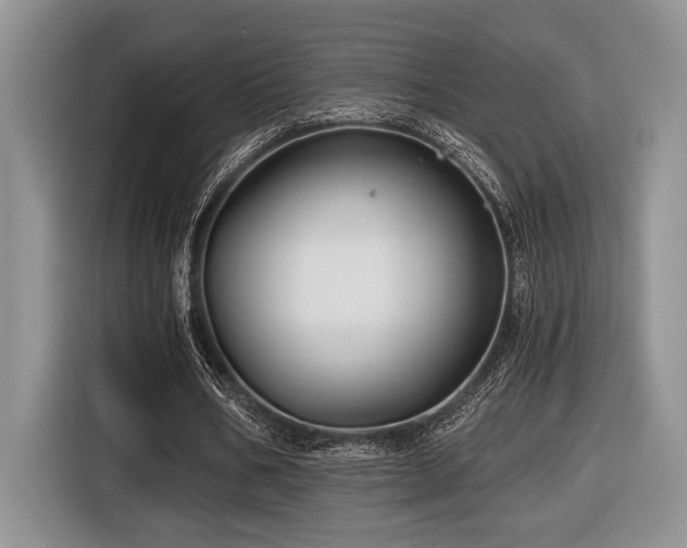 X0000116610578200912111136
