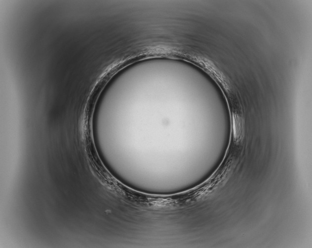 X0000116610579200912111136