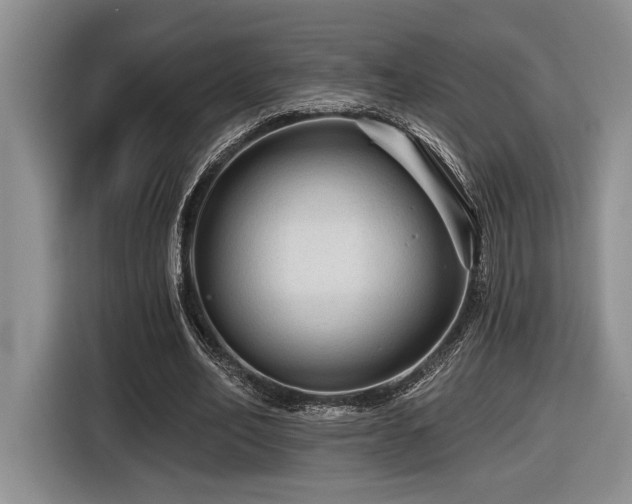 X0000116610582200912111136
